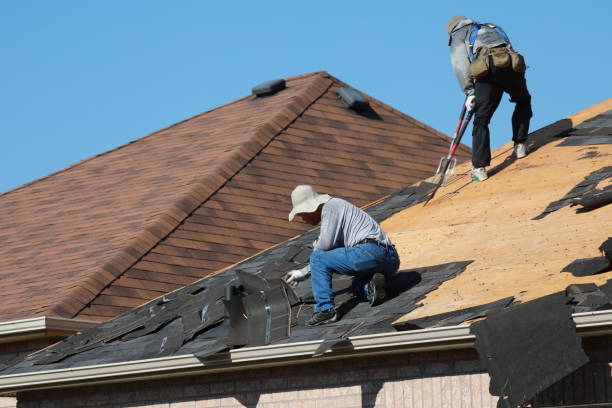 Best Storm Damage Roof Repair  in Cortland, NY